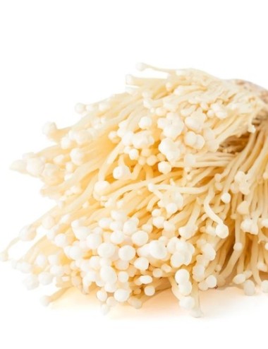 ENOKI FRESCO 34U. 5.1KG.