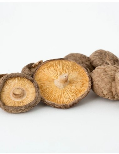 SHITAKE DESHIDRATADO 500G.